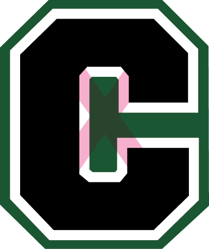 Incorrect Icon Border Colors